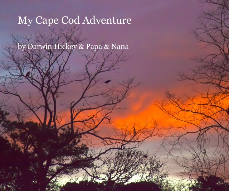 Ver My Cape Cod Adventure por Darwin Hickey & Papa & Nana