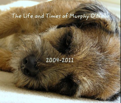 The Life and Times of Murphy O'Neill





2004-2011 book cover