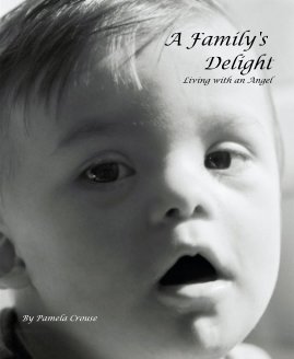 A Family's Delight book cover