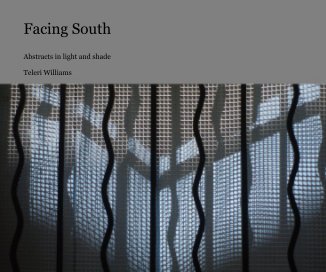 Facing South book cover