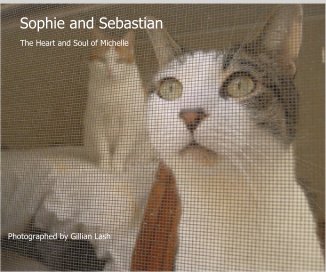 Sophie and Sebastian book cover