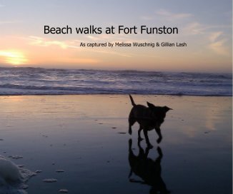 Beach walks at Fort Funston book cover