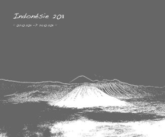 Indonésie 2011 book cover
