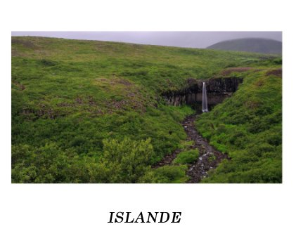 Islande 2011 book cover