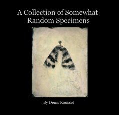 A Collection of Somewhat Random Specimens book cover