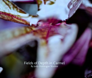 Fields of Depth in Carmel book cover