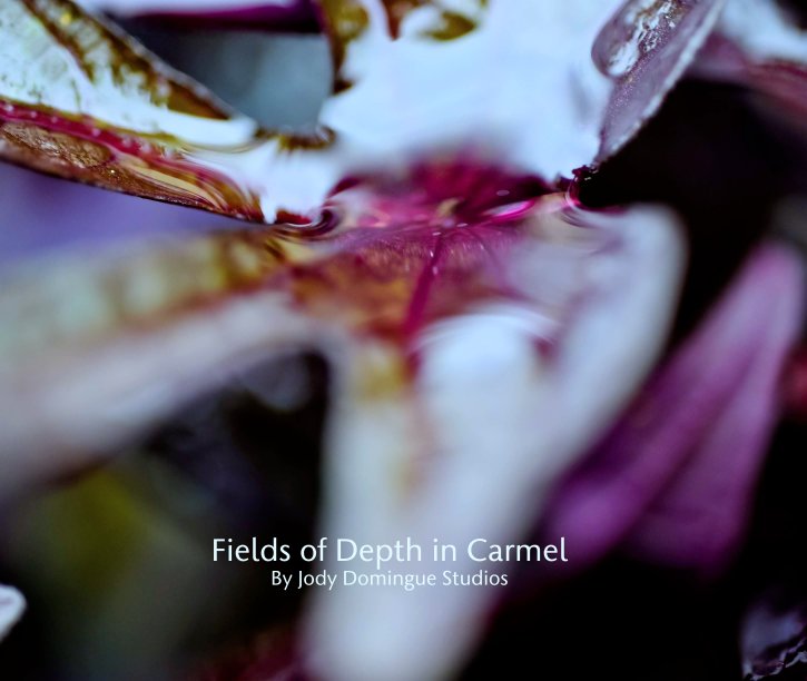 View Fields of Depth in Carmel by Fields of Depth in Carmel
Jody Domingue Studios