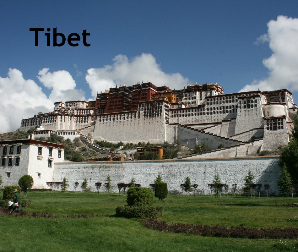 View Tibet by George Burgess