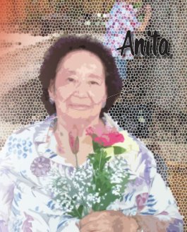 Anita book cover