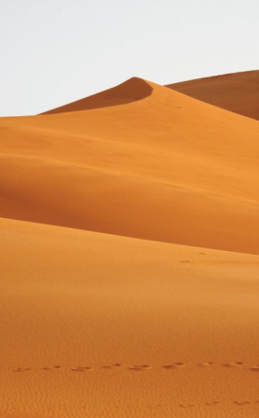 View Pocket Book - Sahara Desert (80pp-PB) by Natasha Emerson