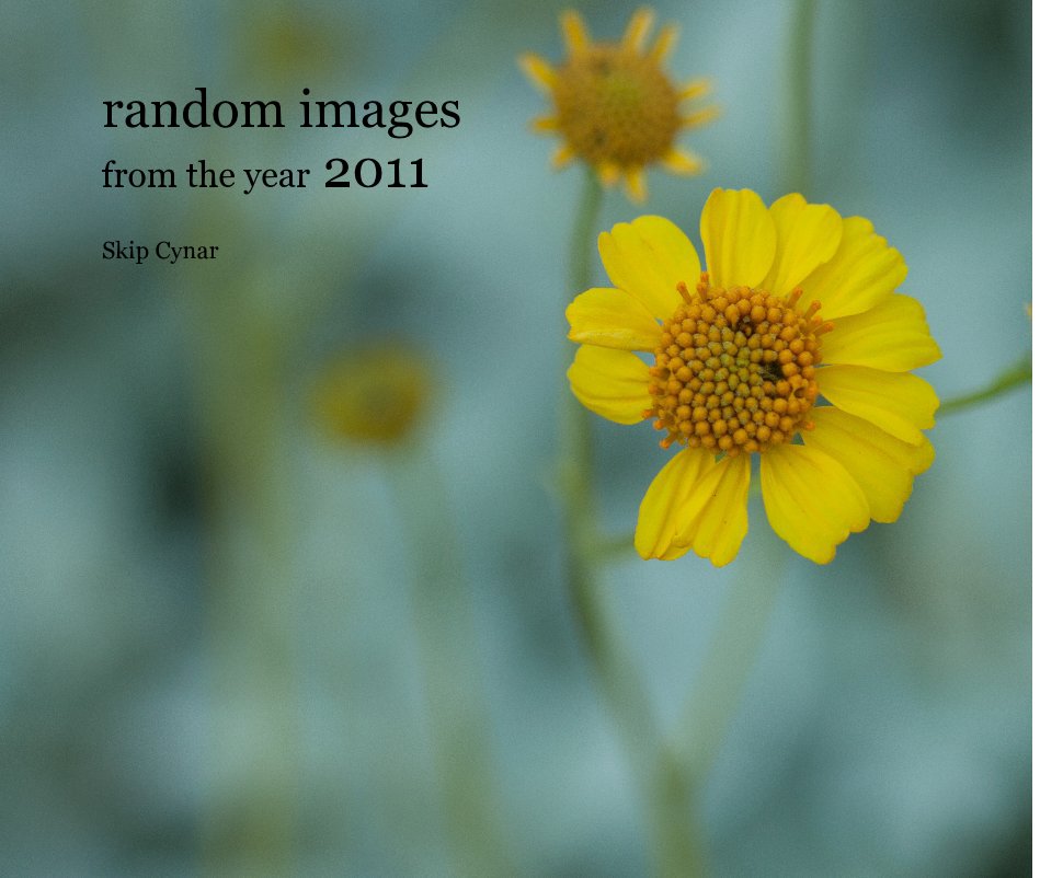 View random images from the year 2011 by Skip Cynar