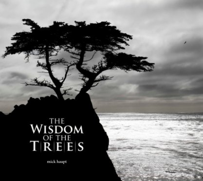 The Wisdom of the Trees book cover