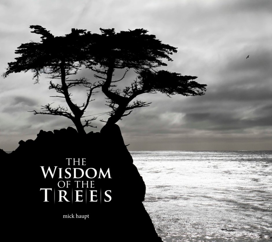 The Wisdom of the Trees nach Mick Haupt anzeigen