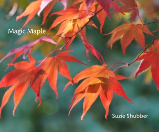 Magic Maple book cover