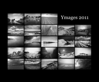Ymages 2011 book cover