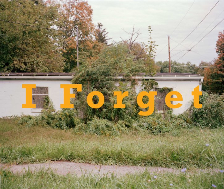 View I Forget by David Lurvey
