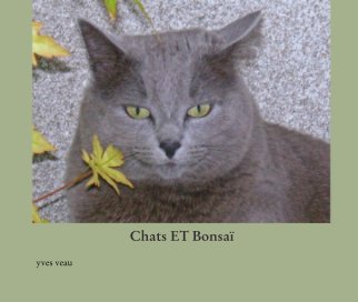 Chats ET Bonsaï book cover