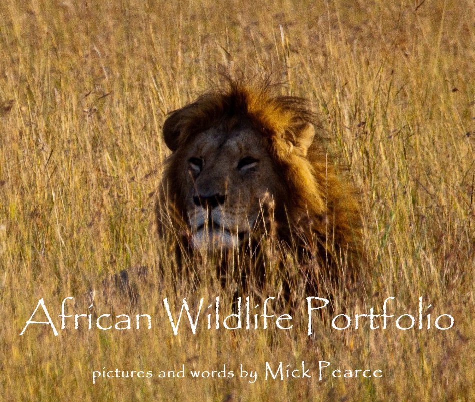 View African Wildlife Portfolio by pictures and words by Mick Pearce