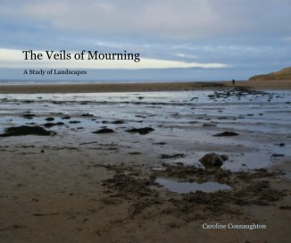 The Veils of Mourning book cover