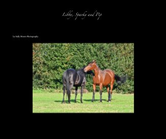 Libby, Sparky and Pip book cover