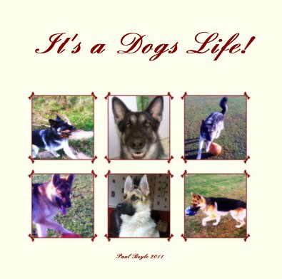 It's a Dogs Life! book cover