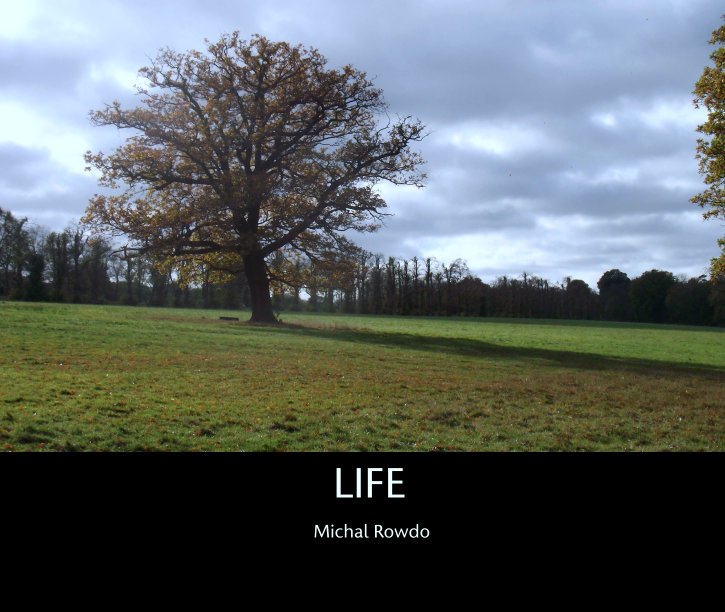 View LIFE by Michal Rowdo