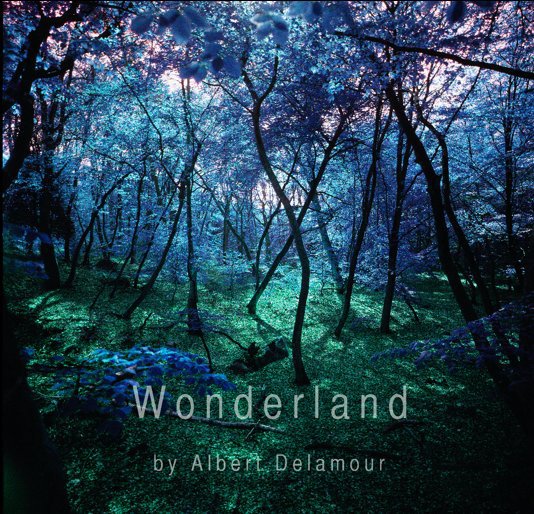 Wonderland by Albert Delamour nach Michele Mariaud, Living with Art publications anzeigen