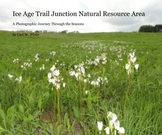 Ice Age Trail Junction Natural Resource Area book cover