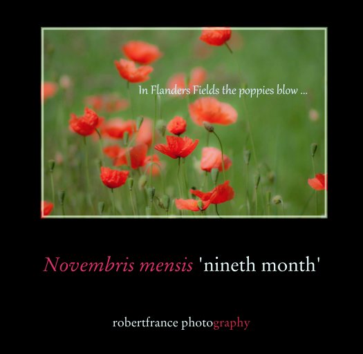 View Novembris mensis 'nineth month' by robertfrance photography