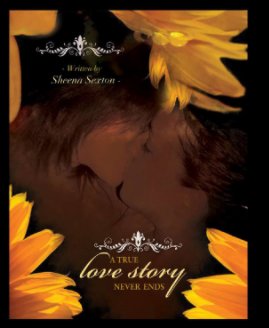 A True Love Story Never Ends book cover