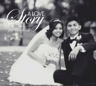 A Love Story book cover