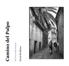 Camino del Pulpo book cover