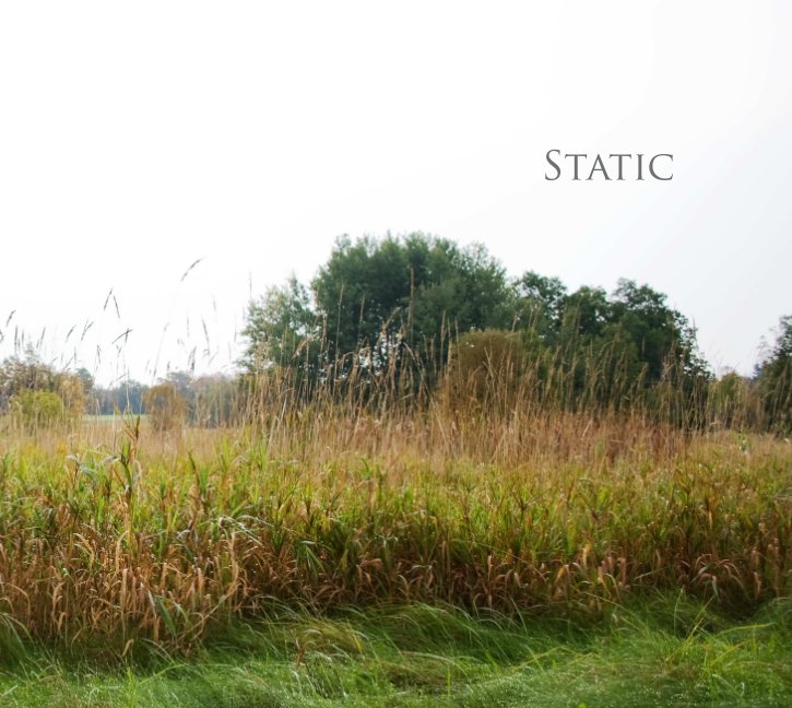View STATIC by Michelle Montgomery