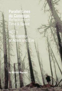 Parallel Lines do Converge book cover