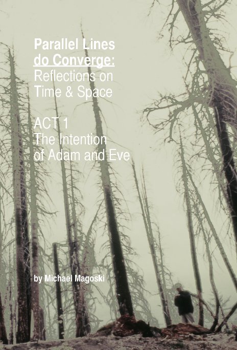 Ver Parallel Lines do Converge por Michael Magoski