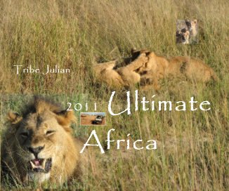 2011 Ultimate Africa book cover