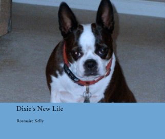 Dixie's New Life book cover