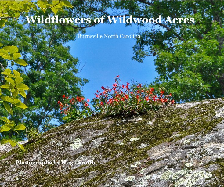 Ver Wildflowers of Wildwood Acres por Photographs by Hugh Smith