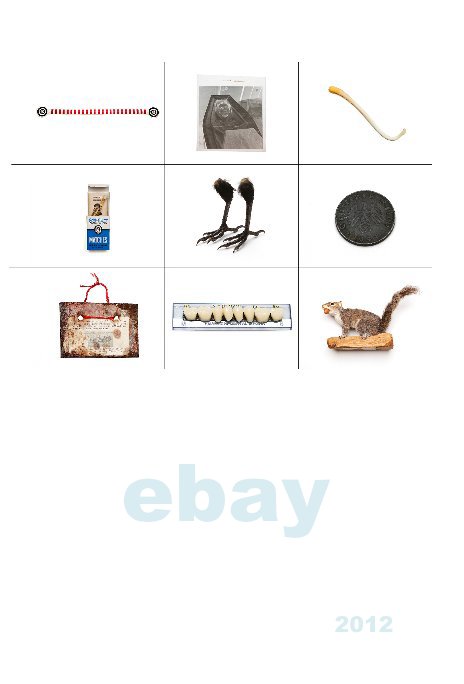 Visualizza ebay project Diary 2012 di Paul Sampson
