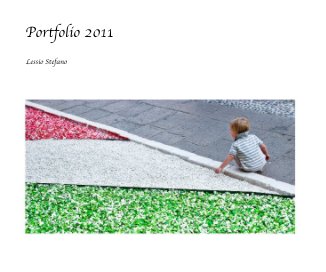 Portfolio 2011 book cover