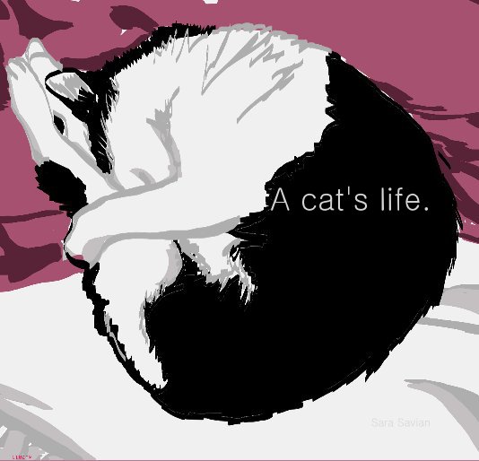 View A cat's life. by Sara Savian