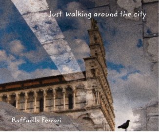 Just walking around the city book cover