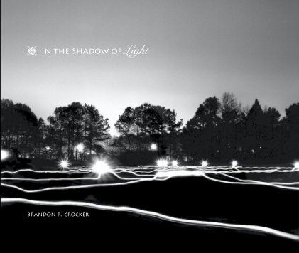 In the Shadow of Light book cover