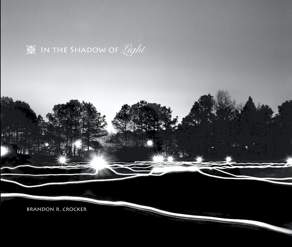 View In the Shadow of Light by Brandon R. Crocker