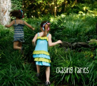 Chasing Fairies book cover