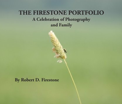 The Firestone Portfolio book cover