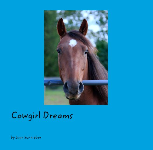 Cowgirl Dreams nach Joan Schnieber anzeigen