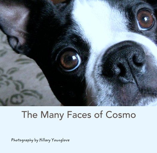 View The Many Faces of Cosmo by Photography by Hillary Younglove
