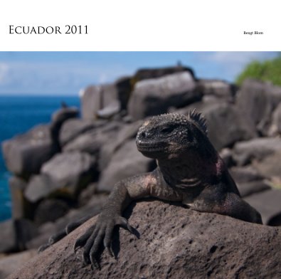 Ecuador 2011 book cover