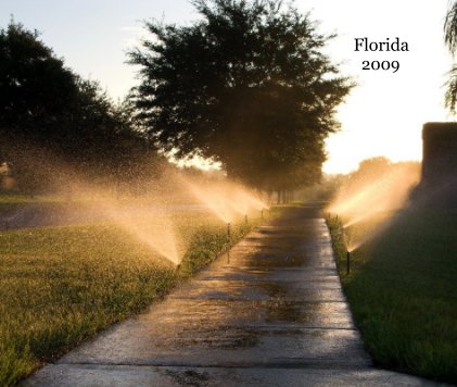Florida 2009 book cover